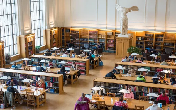 Students studying in library