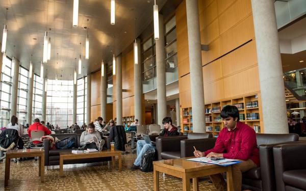 Students studying in library Students studying in library